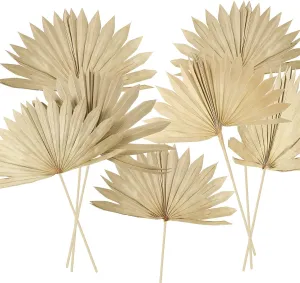 10 Pieces Large Dried Palm Leaves Decor Sun Palm Natural Dried Palm Fans Dried Palm Spears Gold Palm Leaf Dried Plants for Boho Wedding Bouquets Home Leaf Party Decorations( 10 Pieces )