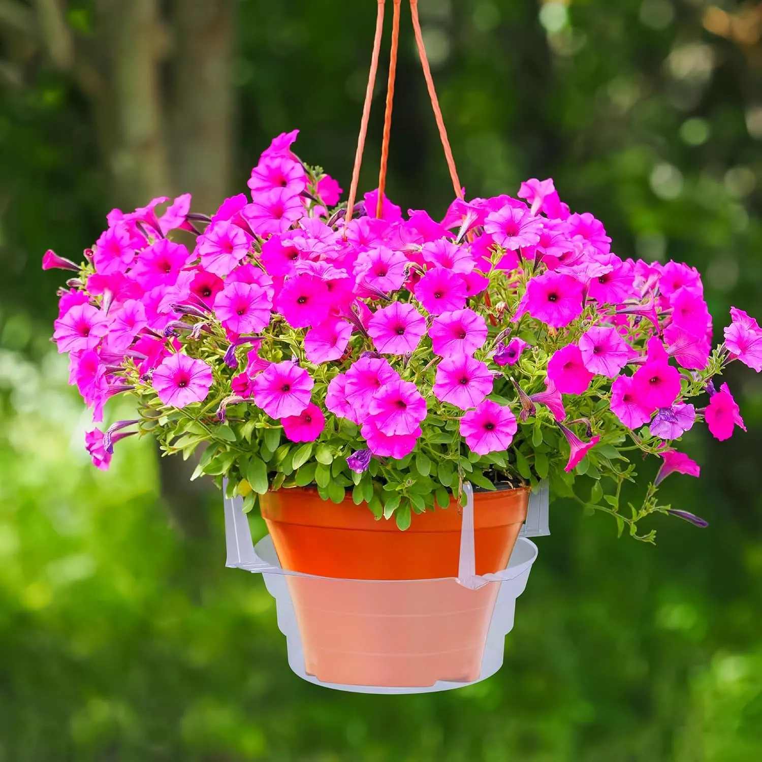 Adnee 15 Pcs 6 Inch Hanging Plant Water Catcher-Clear Plastics Plant Water Catcher Tray-Hanging Plant Saucers Drip Pans for Indoor Outdoor Hanging Basket Flower Pot