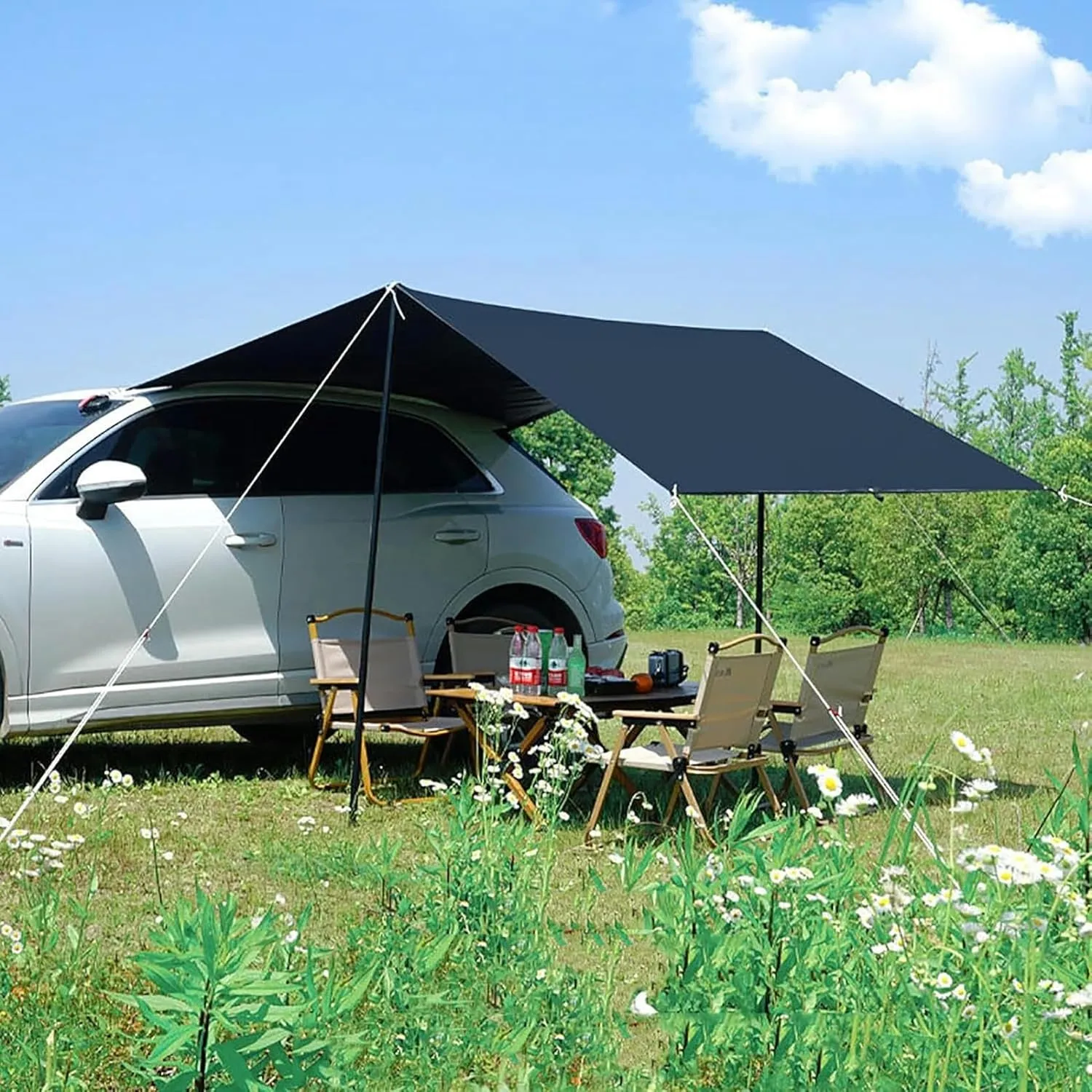 AMNOOL Camping Tarps for Tents, Multifunctional Waterproof Truck Awning, 9.8 * 6.5ft Tent Camping Shelter Canopy, PU 2000mm (Color : Black 300 * 200cm/9.8 * 6.5ft)