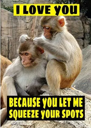 Funny Birthday Valentines Card Cheeky Comedy Humour Squeeze Your Spots V88