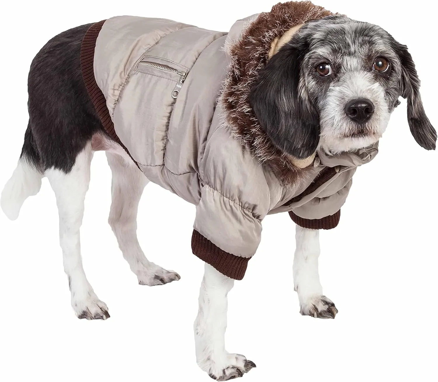 PET LIFE Classic Metallic Fashion Pet Dog Coat Jacket Parka w/ 3M Insulation and Removable Hood, Small, Metallic Grey