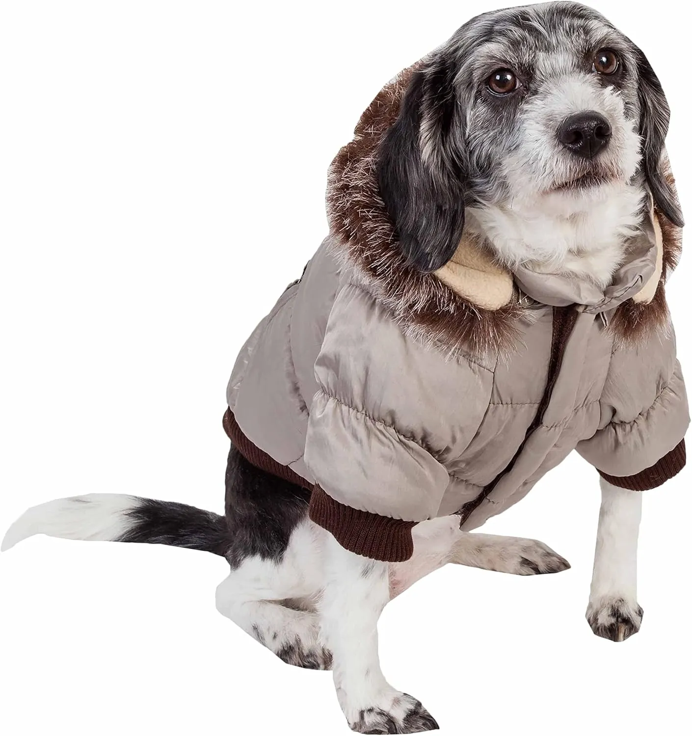 PET LIFE Classic Metallic Fashion Pet Dog Coat Jacket Parka w/ 3M Insulation and Removable Hood, Small, Metallic Grey