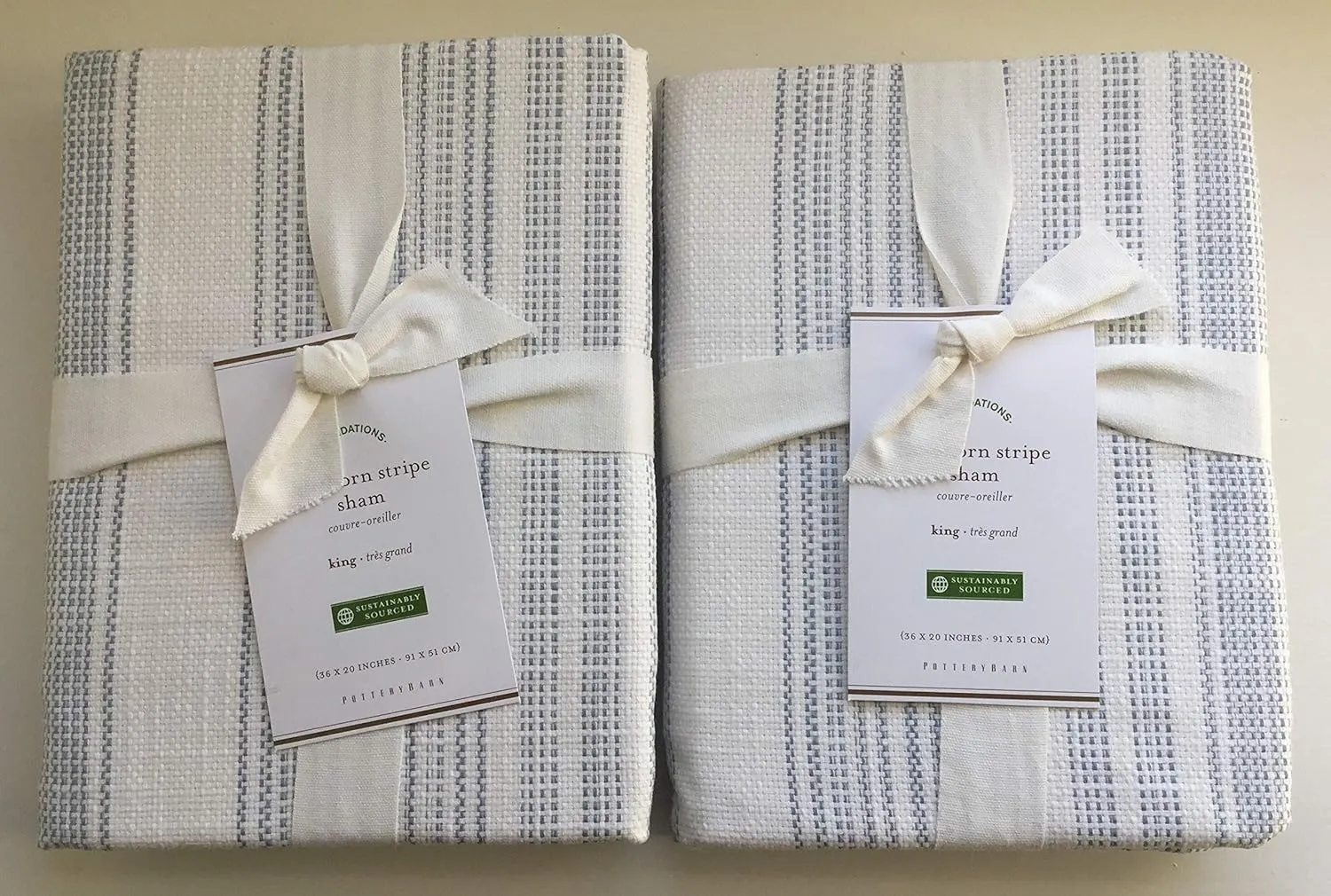 Pottery Barn Hawthorne Stripe Sham ~King~ Set of Two ~Blue
