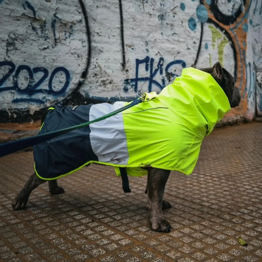 Spark Paws Dog Raincoat, Waterproof Windproof Rain Jacket, for Small Medium Large Extra Large Dogs, Reflective Breathable Full-Body Coverage Dry Suit - Neon White Navy Blue, M
